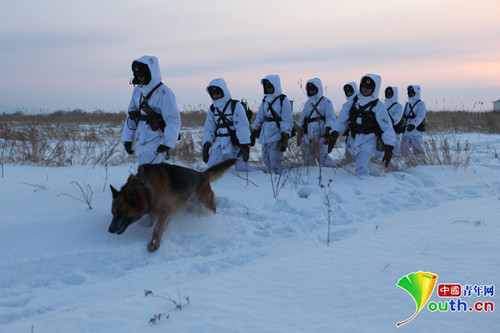 冬季巡邏路上，積雪沒過戰士的膝蓋。軍犬四肢深陷雪中，艱難行進。 